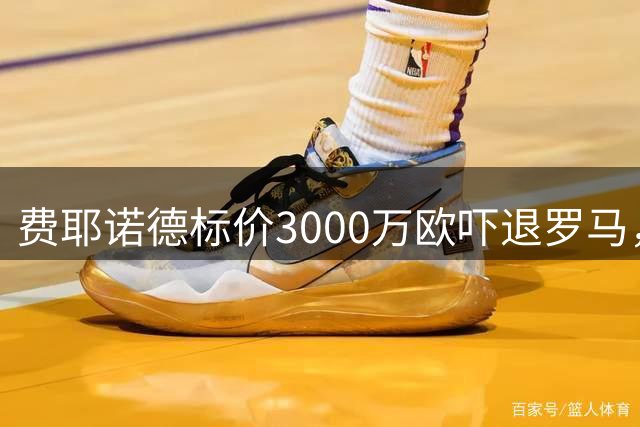 费耶诺德标价3000万欧吓退罗马，范帅亲承留队离队均有可能