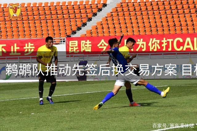 鹈鹕队推动先签后换交易方案 目标锁定年轻锋线马瑟林