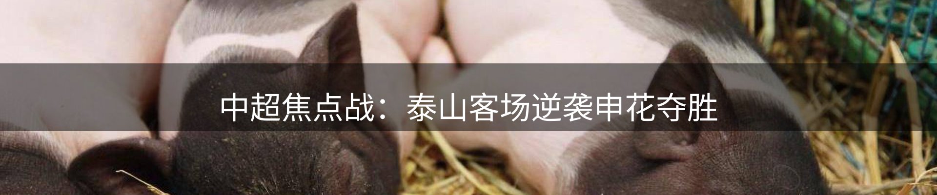 新闻趋势