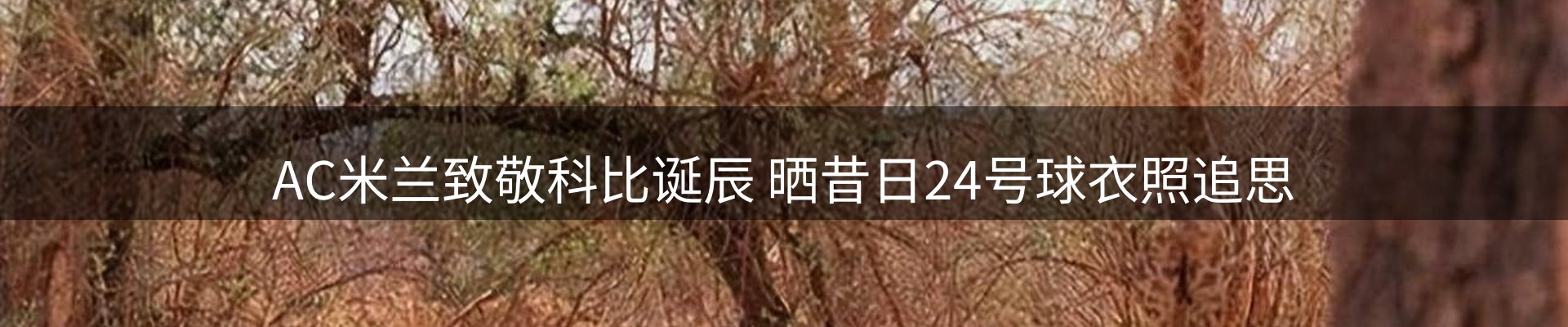 新闻趋势
